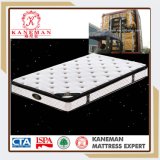 Economical Pillow Top Continuous Spring Mattress with Beautiful Cover