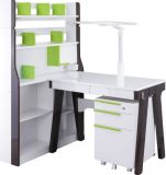 Compter Desk/Study Desk/ School Desk /Wood Table