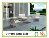 Indoor & Outdoor Living Furniture Sofa Set with Metal Frame