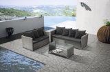 Low Price Hot Sale Modern Rattan Sofa 3 PCS Set Outdoor Furniture (LN-900)