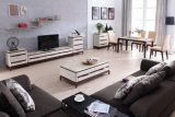 Monden Natural Marble Top Furniture for Living Room 1047