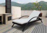 Swimming Pool Chair/ Beach Chair / Daybed