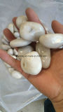 Polished White Cobble River Stone Pebble in Project Garden Landscpae Decoration