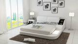 Modern Pavan Leather Bed Modern Stronge Bed