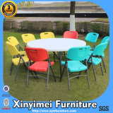 Plastic Chair by Mould (XYM-T100)