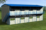 Prefabricated House with Light Steel Frame (new model)