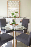 Modern Dining Table and Chair Design /Glass Dining Table