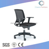 Elegant Low-Back Mesh Chair with Nylon Base