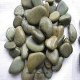 High Quality Green Decoration Stone Garden Pebble