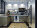 Waterproof Stainless Steel Kitchen Cabinets in Modern Design (BR-SP009)