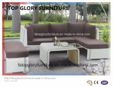 Plastic Garden Sofa, Leisure Sofa, Patio Sofa for Outdoor Furniture (TG-061)