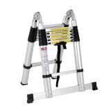 Expert Manufacturer 10 Step Telescopic Ladder with Small Hinge
