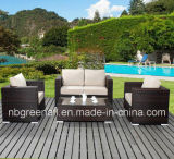 PE Rattan & Aluminum Frame Furniture, Outdoor Rattan Sofa