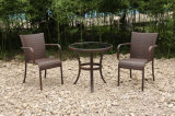 Outdoor Garden Rattan/Wicker Table 2 Chairs Leisure Furniture (FS-2140+ FS-2051)