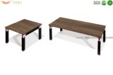 Hot Sale Metal Frame Coffee Table for Office Hy-C14+C15