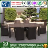 Garden/Patio Rattan Dining Sets for Outdoor Furniture (TG-JW45)