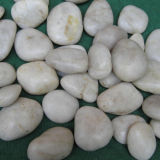 Factory White Polished Pebble Stone