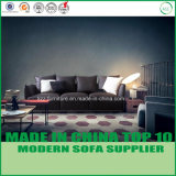 Modern Letax Furniture Leather Wooden Sofa