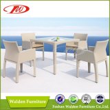 Popular Use Garden Furniture, Dining Furniture (DH-9555)