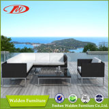 2013 New Design Rattan Sofa (DH-8831)