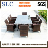 Outdoor Table Set/ Wicker Outdoor Table and Chairs (SC-B8918-B)