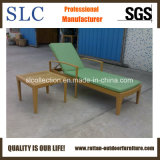 Outdoor Chaise Lounger/Lounger Cushion/Wicker Lounge Chair (SC-B7864)