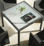 Popular Design Cheap Price Hotel Furniture Garden Chair & Table Set (YTD020-1)