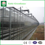 Commercial Glass Greenhouse with Climate Control System