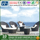 Luxurious Rattan Outdoor Furniture, Garden Sofa, Outdoor Sofa (TG-1279)