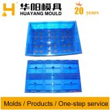 Foldable Crate Mould Injection Mold Transport Moulds (HY009)