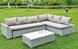 Outdoor Furniture PE Wicker Rattan Sofa