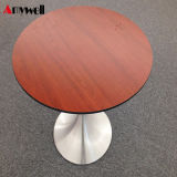 Amywell Wooden Grain 20mm High Abrasion Resistance Phenolic Panel Outdoor Table