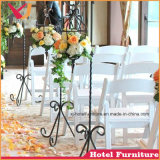 Folding Resin Chair for Banquet/Wedding/Outdoor/Hotel/Beach