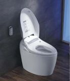 Hot Selling PP/Ceramic Boday Intelligent Toilet (W1504)