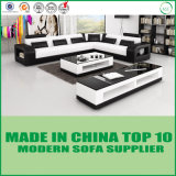 China Cheap Modern Wooden Legsfurniture Living Room Sofa