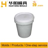 Plastic Injection Mold/Mould for All Kinds of Pail for Packing (HY011)