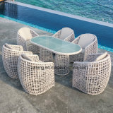 Popular New Design Wicker Outdoor Garaden Dining Chair Using for Hotel (YT1069)