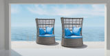 Outdoor Furniture Rattan Lying Bed Lounge Daybed