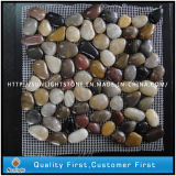 Meshed Natural 2-3cm White/Yellow/Grey/Red Pebble Stone