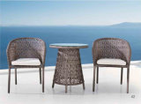 Outdoor Furniture Rattan Chair and Tea Rattan Table