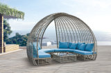 New design Rattan Sofa Outdoor Furniture