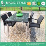 Aluminum Wire Dining Set Aluminum Drawing Dining Set Rattan Chair (Magic Style)