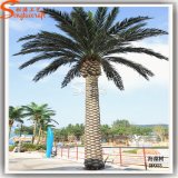 5 Meter Outdoor Palm Trees Decoration Artificial Palm Tree