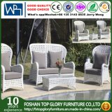 Outdoor Synthetic Sofa with Tea Table Rattan Furniture Set (TG-1505)