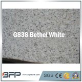 Natural Stone America White & Grey Granite Floor Tile, Slab