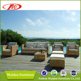 Patio Furniture, Garden Sofa Set (DH-8630)