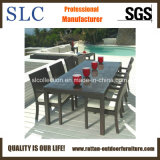 Outdoor Wicker Furniture/wicker furniture/dining furniture set (SC-B6023)