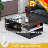 Wholesale Factory Available Modern Design Coffee Table (UL-MFC063.3)