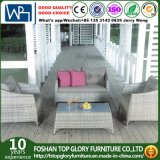 Outdoor Rattan Furniture Sectional Garden Sofa (TG-1937)