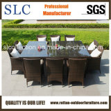 Outdoor Furniture Wicker/ Outdoor Furniture Commercial (SC-A7197)